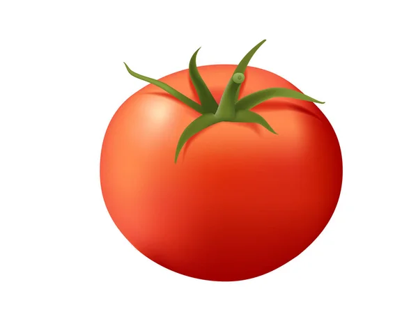 Realistischer Stil Ganz Süß Lecker Tomatengemüse Mit Grünen Blättern Vektor — Stockvektor
