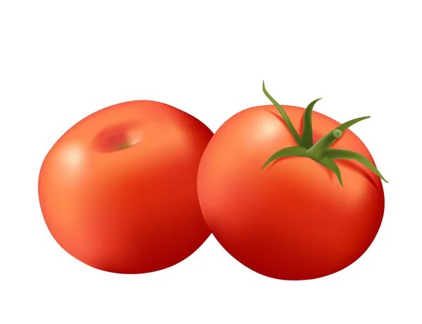 Ρεαλιστικό Στυλ Ολόκληρο Γλυκό Νόστιμο Λαχανικό Ντομάτας Πράσινα Φύλλα Διανυσματική — Διανυσματικό Αρχείο