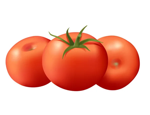 Gaya Realistis Seluruh Manis Tomat Sayuran Dengan Hijau Vektor Daun - Stok Vektor