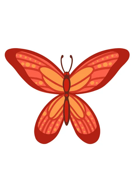 Färgglada Fjäril Insekt Tecknad Stil Djur Design Vektor Illustration Isolerad — Stock vektor