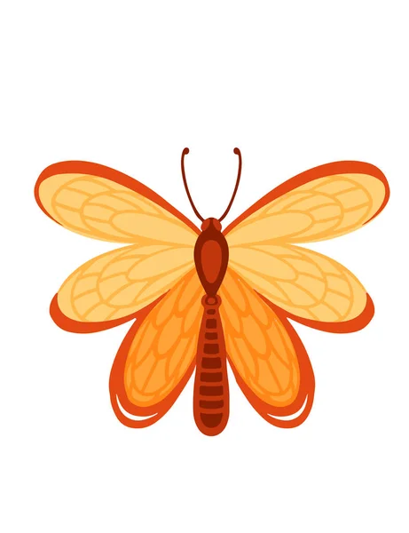 Färgglada Fjäril Insekt Tecknad Stil Djur Design Vektor Illustration Isolerad — Stock vektor