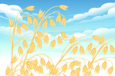 Buğday tarlalarıyla kırsal alan ve arkaplan vektörü illüstrasyonunda mavi berrak gökyüzü.
