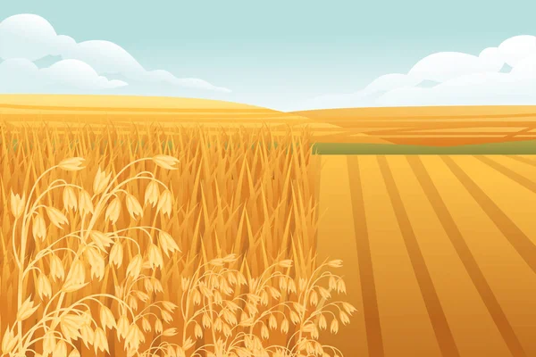 Сельский Пейзаж Пшеничными Полями Зелеными Холмами Голубым Небом Фоне Векторной — стоковый вектор