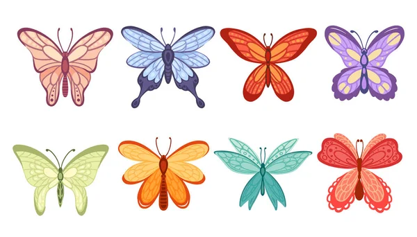 Conjunto Colorido Mariposa Insecto Dibujos Animados Estilo Animal Diseño Vector — Vector de stock