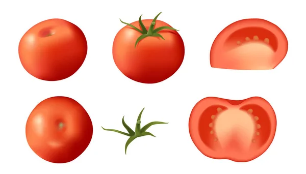 Set Gaya Realistis Seluruh Manis Tomat Sayuran Lezat Dengan Hijau - Stok Vektor