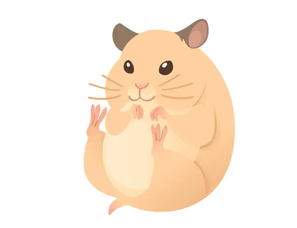 Hell Braun Hamster Niedlich Cartoon Tier Design Vektor Illustration Isoliert — Stockvektor