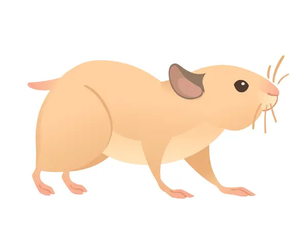 Hamster Brun Clair Dessin Animé Mignon Animal Design Illustration Vectorielle — Image vectorielle