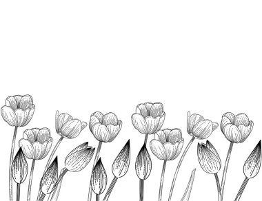 Beyaz arkaplanda izole edilmiş kitap vektörü çizimi için üç lale çiçeği eli çizimi