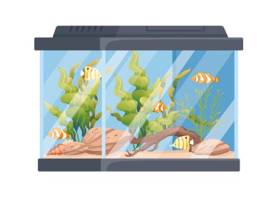 Balıklı dikdörtgen cam akvaryum. Çim taşları ve dekoratif nesneler. Vektör illüstrasyonu beyaz arka planda izole edilmiş..