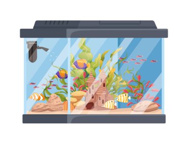Balıklı dikdörtgen cam akvaryum. Çim taşları ve dekoratif nesneler. Vektör illüstrasyonu beyaz arka planda izole edilmiş..
