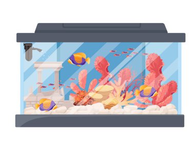 Balıklı dikdörtgen cam akvaryum. Çim taşları ve dekoratif nesneler. Vektör illüstrasyonu beyaz arka planda izole edilmiş..