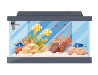 Balıklı dikdörtgen cam akvaryum. Çim taşları ve dekoratif nesneler. Vektör illüstrasyonu beyaz arka planda izole edilmiş..