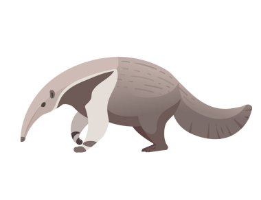 Karınca yiyen memeli çizgi film hayvan tasarımı vektör çizimi beyaz arkaplanda izole edildi.