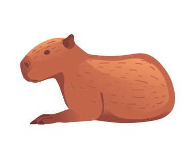 Beyaz arka planda izole edilmiş büyük memeli şirin capybara çizgi film hayvan tasarımı vektör çizimi.