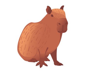 Big mammal cute capybara cartoon animal design vector illustration isolated on white background. clipart