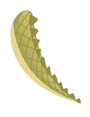 Dekoratif timsah kuyruklu karikatür hayvan kuyruğu tasarım vektör çizimi beyaz arkaplanda izole.