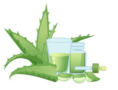 Cam kavanozda aloe suyu bulunan Aloe vera bitkisi, beyaz arka planda izole edilmiş pipette derisi kozmetik vektör çizimi..