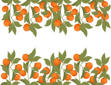 Beyaz arkaplanda vektör çizimi bırakan lezzetli tropik portakal meyveli narenciye ailesi..