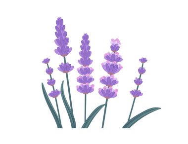 suluboya denetiminin vektör illüstrasyonu beyaz arkaplanda izole edildi