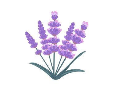 suluboya denetiminin vektör illüstrasyonu beyaz arkaplanda izole edildi