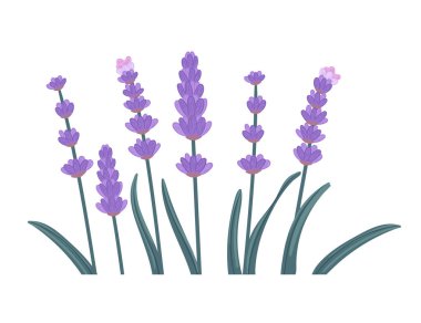 suluboya denetiminin vektör illüstrasyonu beyaz arkaplanda izole edildi