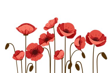 Beyaz arkaplanda izole edilmiş kırmızı haşhaş çiçeği basit bir tasarım vektörü çizimi.