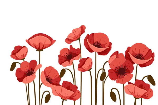 stock vector Red poppy flower in a row simple design vector illustration isolated on white background.