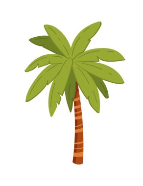 Yaprakları olan tropik yeşil palmiye ağaçları basit çizgi film tasarımı vektör çizimi.