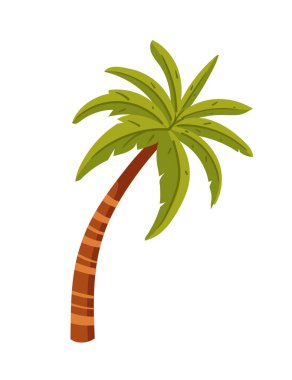 Yaprakları olan tropik yeşil palmiye ağaçları basit çizgi film tasarımı vektör çizimi.