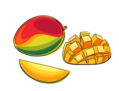 Bir çift taze yeşil mango meyvesi. Karalama tarzında tam ve yarım tropikal meyve. Vektör illüstrasyonu beyaz arkaplanda izole edildi.