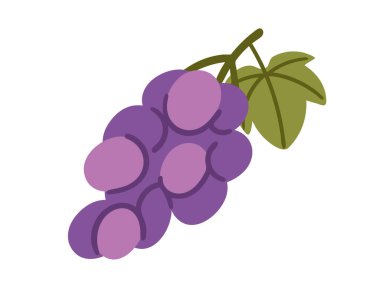 Saplı ve yapraklı mor üzüm. Vektör illüstrasyonu beyaz arkaplanda izole edildi.