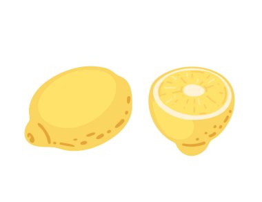 İki taze sarı limon. İkiye bölünmüş ve sulu segmentli meyve suyu keseli turunçgiller. Vektör illüstrasyonu beyaz arkaplanda izole edildi.