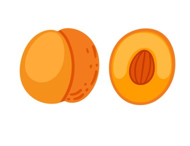 Olgun kayısı, tohum ve çekirdekle yarı yarıya. Basit karikatür tarzında taze lezzetli meyve. Düz vektör çizimi beyaz arkaplanda izole edildi.