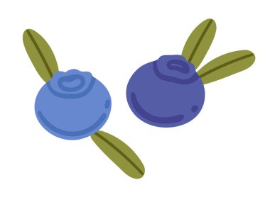 Yeşil yapraklı iki yabanmersini. Taze taze meyveler. Tatlı vitamin sağlıklı beslenme. Basit çizgi film biçimi, düz vektör çizimi beyaz arkaplanda izole edildi.