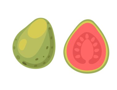 Taze olgun guava, bütün ve yarı yarıya tropikal egzotik meyve. Tropikal meyve özellikleri, smoothie ve tatlılarda aşçılık kullanımı ve sağlık odaklı içerik için uygundur. Vektör illüstrasyonu.