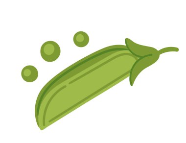 Taze taze bezelye kabuğunda, üç bezelye ayrı. Sağlıklı doğal sebze ürünü. Düz vektör çizimi beyaz arkaplanda izole edildi.