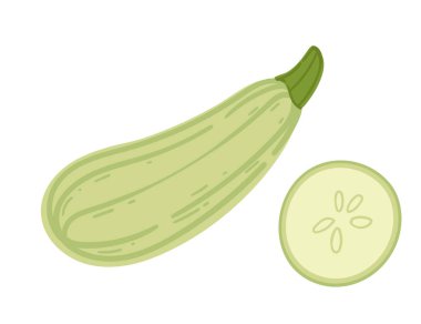 Taze kabak, bütün olarak tasvir edilmiş ve yeşil derisini ve beyaz etini göstermek için dilimlenmiş. Bahçe ürünleri için uygun özellikler, sağlıklı tarifler ve besin içeriği. Vektör illüstrasyonu beyazda izole edildi.