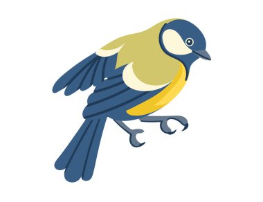 Cute tit bird. Cartoon animal design, stylized bird with blue and yellow feathers. Vector illustration isolated on white background.