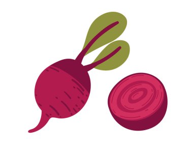 Taze kırmızı pancar eğitici malzemeler ya da mutfak rehberleri için mükemmeldir. Yeşil yapraklı pancar sebzesi. Tam ve dilimlenmiş sebze kökü. Vektör illüstrasyonu beyaz arkaplanda izole edildi.