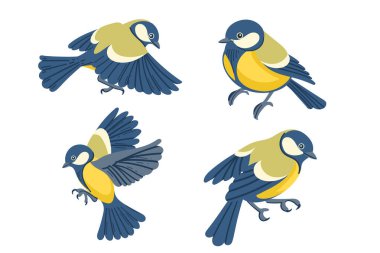 Set of Cute tit bird in motion. Cartoon animal design, stylized bird with blue and yellow feathers. Vector illustration isolated on white background.