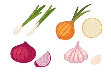 Çeşitli taze soğan seti. Tarımın ürettiği sebzeler, hasat. Olgun taze organik gıda. Vektör illüstrasyonu beyaz arkaplanda izole edildi.