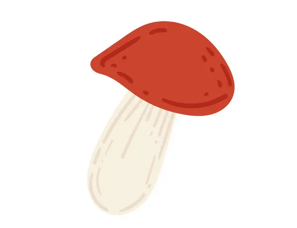 stock vector Red-capped bolete mushroom. Ideal for mushroom foraging, culinary designs, and nature-themed content. Vector illustration isolated on white background.