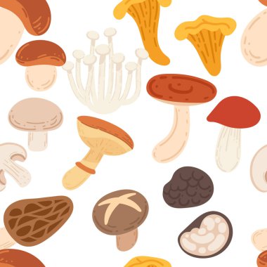 Kusursuz desenli taze mantar seti. Vahşi orman hasadı. Olgun taze organik gıda. Beyaz arkaplanda vektör illüstrasyonu.
