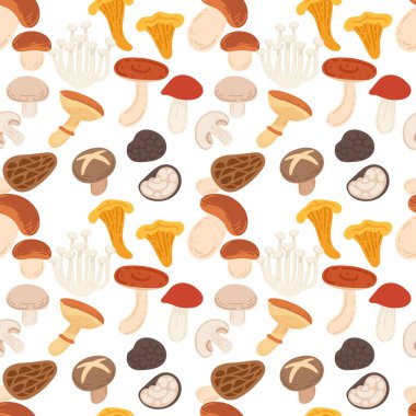 Kusursuz desenli taze mantar seti. Vahşi orman hasadı. Olgun taze organik gıda. Beyaz arkaplanda vektör illüstrasyonu.