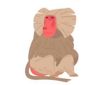 Oturma pozisyonunda çizgi film babunu, belirgin yüz hatlarını sergiliyor. Hayvanat bahçesi temaları, vahşi yaşam eğitimi ya da hayvanlarla ilgili projeler için mükemmel. Vektör illüstrasyonu beyaz arkaplanda izole edildi.