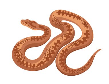 Zigzag desenli sürünen bir yılan. Basit bir hayvan çizgi filmi tasarımı. Sürüngenler ya da çöl yaban hayatı için ideal. Vektör illüstrasyonu beyaz arkaplanda izole edildi.