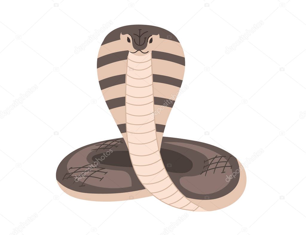 Cobra with an expanded hood and bold stripes. Simple cartoon animal design. Great for wildlife or reptile-related images. Vector illustration isolated on white background.