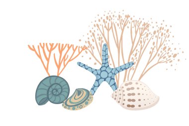 Renkli Deniz Kabukları ve Denizyıldızı Denizaltı Resimleri. Beyaz arka planda canlı Deniz Yaşamı Elementleri Vektörü illüstrasyonu.