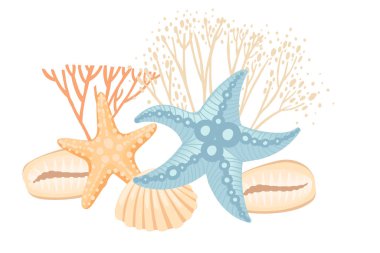 Renkli okyanus kabuklarının ve çeşitli deniz canlılarının bembeyaz arka planda güzel bir tasviri..