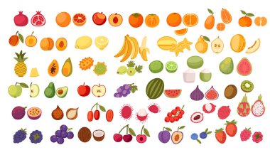 Renklere göre sıralanmış çeşitli meyve koleksiyonu. Elma, portakal, muz, böğürtlen, tropikal meyve ve narenciye. Tropikal ve turunçgiller. Sağlıklı yiyecekler, vitamin kaynakları. Vektör illüstrasyonu.
